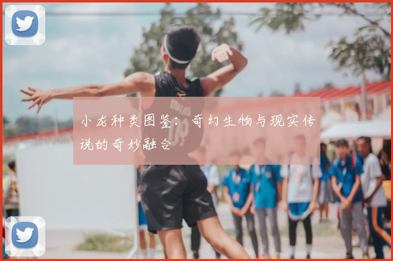 小龙种类图鉴:奇幻生物与现实传说的奇妙融合
