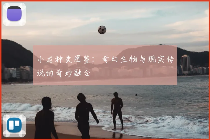 小龙种类图鉴：奇幻生物与现实传说的奇妙融合